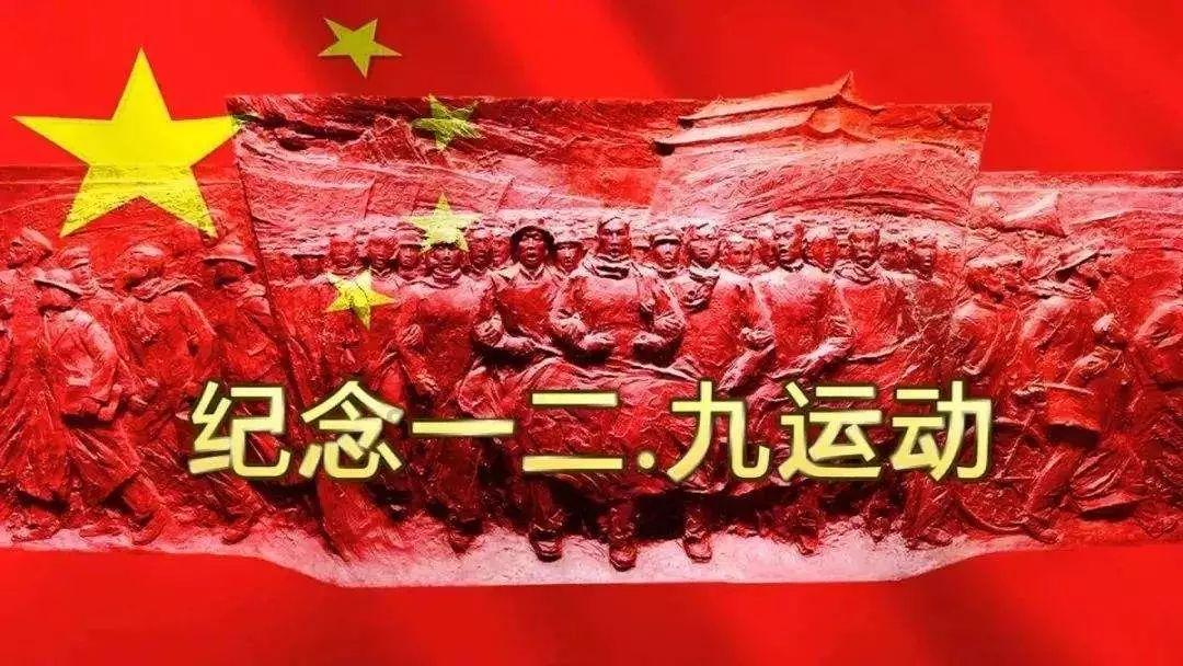 菠萝有哪些品种?-有问必答平台